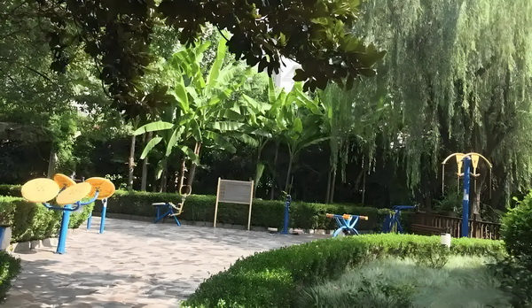 深圳社人才入户_中国排名：李昊桐上升到81位继续领跑中国军团 日开9年于21月业运营